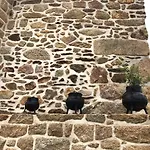 Gospodarstwo agroturystyczne Casa Do Caminho - Ossela
